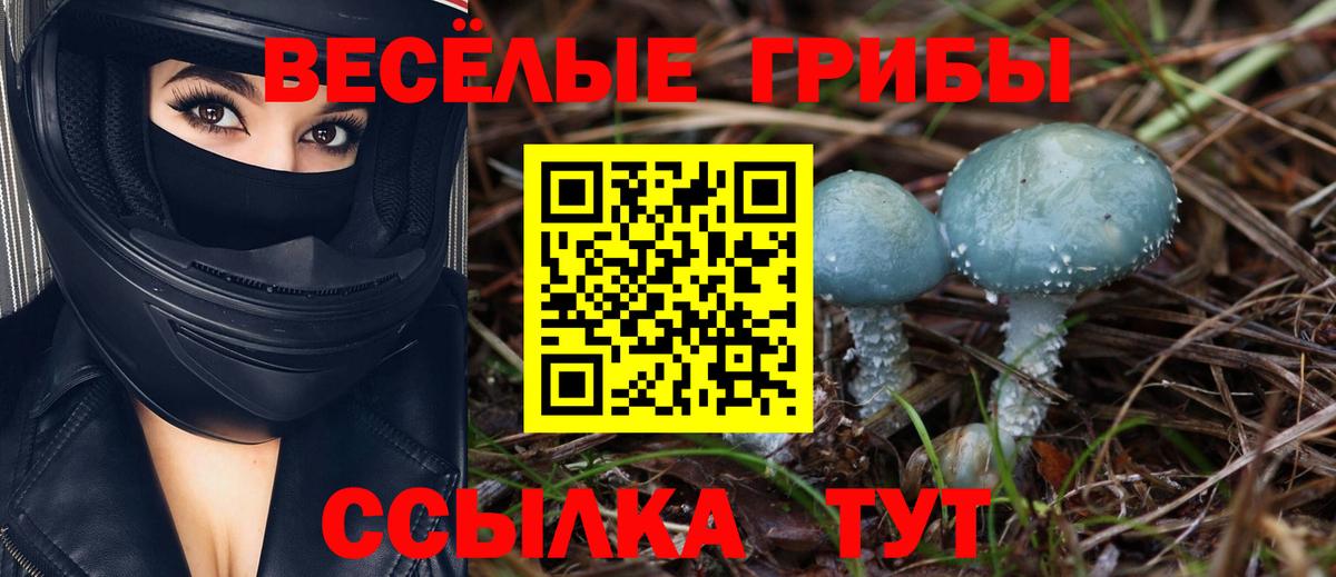 Псилоцибиновые грибы мицелий Амурск