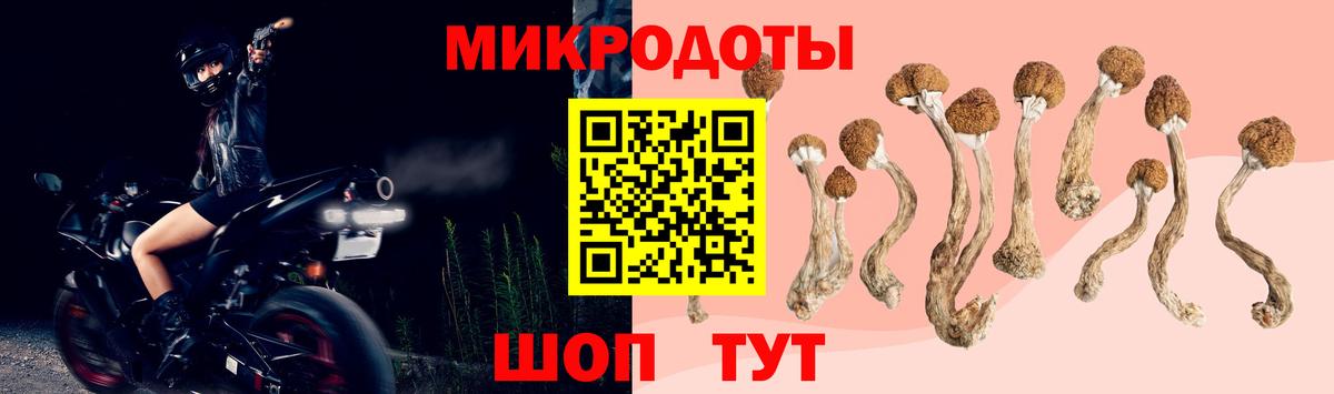 Амурск  Галлюциногенные грибы MAGIC MUSHROOMS  Вход с VPN 
