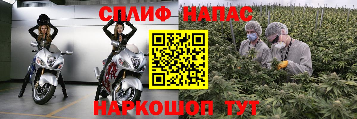 Амурск  Канабис OG Kush  Вход с VPN  Каннабис семена 